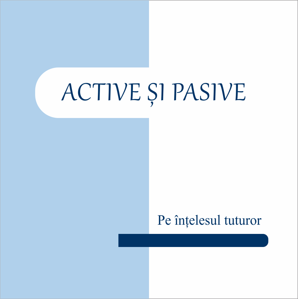 Active și pasive în contabilitate